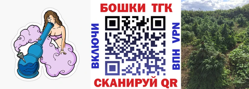 Наркота Карабулак Галлюциногенные грибы  A-PVP  МЕФ  Канабис  АМФ  Кокаин  NBOMe  Гашиш 