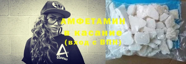 стаф Алзамай