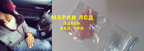 стаф Алзамай