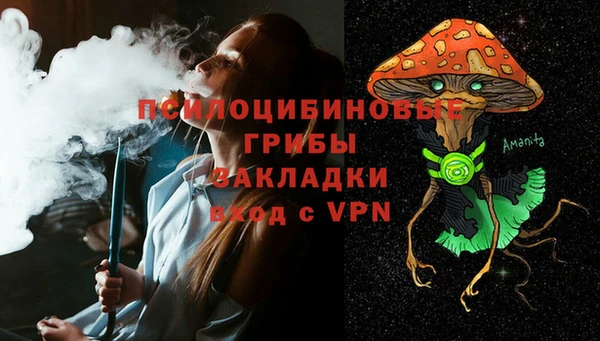 стаф Алзамай
