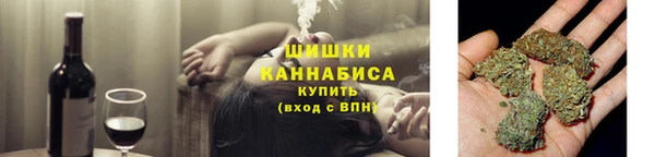 гашик Алексеевка