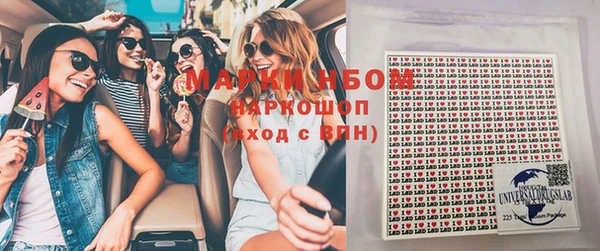 гашик Алексеевка