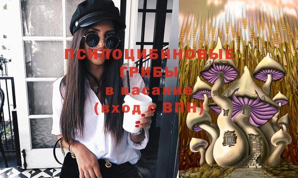 шишки Абинск