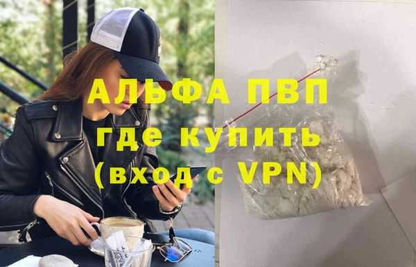 стаф Алзамай