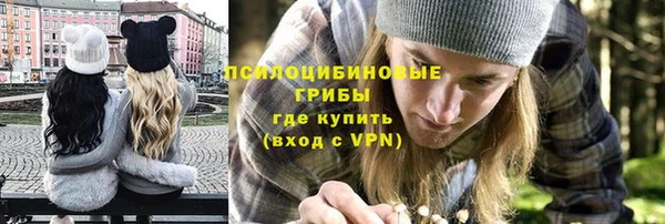 гашик Алексеевка