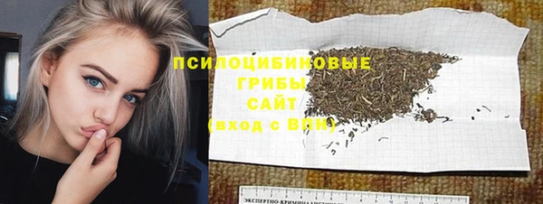 шишки Абинск